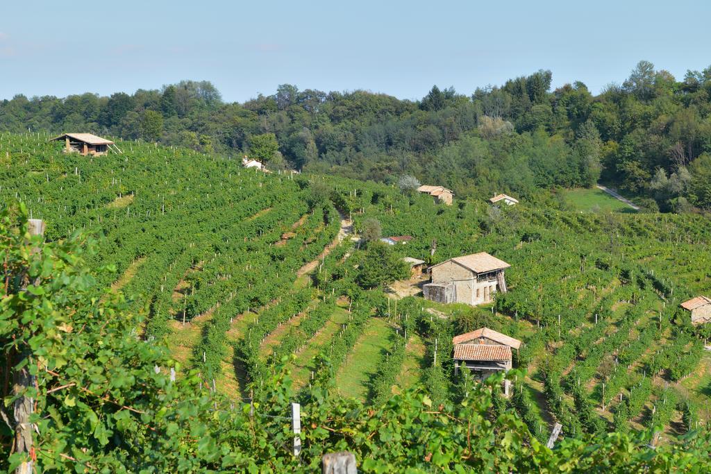 Agriturismo Crodi Miane Екстер'єр фото