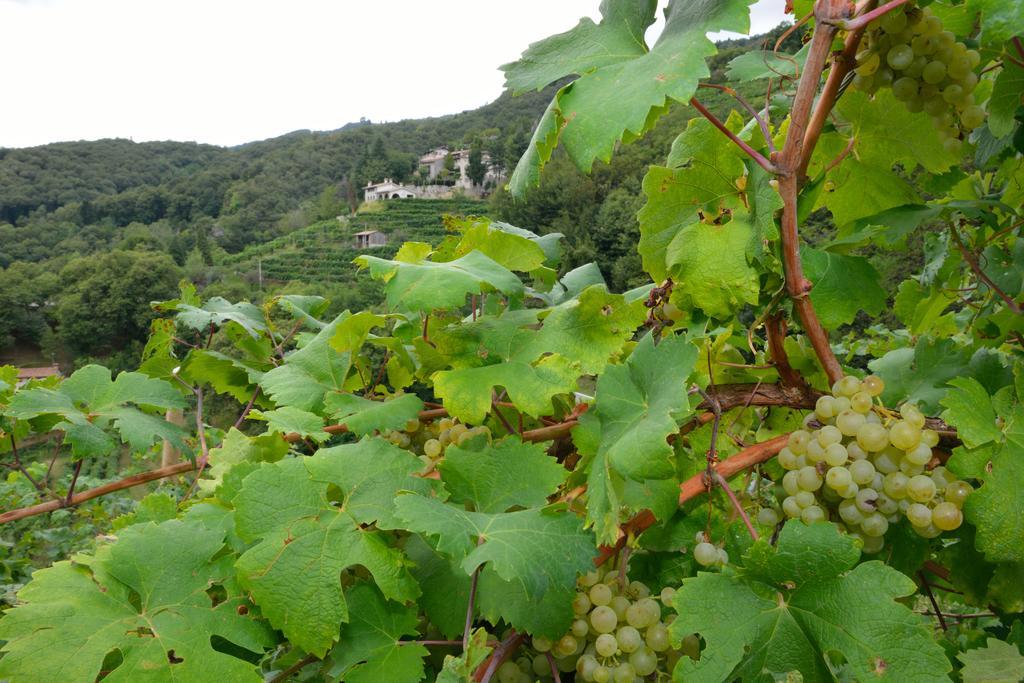 Agriturismo Crodi Miane Екстер'єр фото